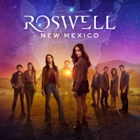 Roswell, New Mexico - American Woman artwork