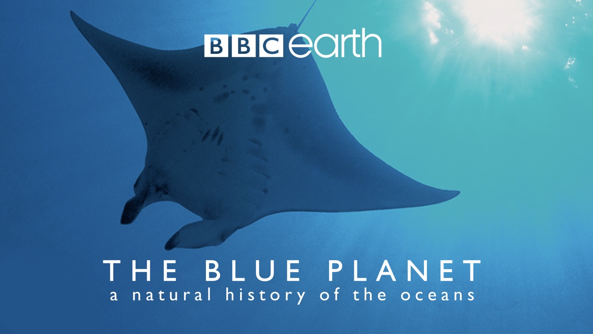 The Blue Planet on Apple TV