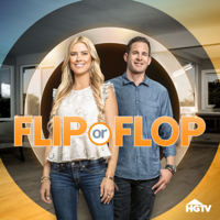 Flip or Flop - It's a Dump artwork