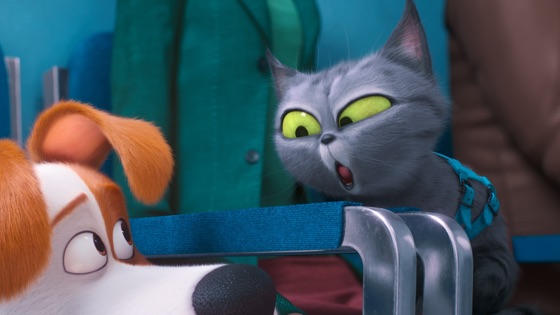 The secret life of pets