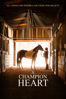 A Champion Heart - David De Vos