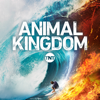 Animal Kingdom - Man vs. Rock  artwork