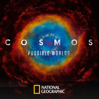 Cosmos - The Cosmic Connectome artwork
