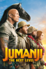 Jake Kasdan - Jumanji: The Next Level  artwork