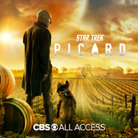 Star Trek: Picard - The End Is the Beginning artwork