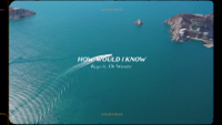 Kygo & Oh Wonder - How Would I Know artwork