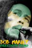 Bob Marley: Freedom Road - Sonia Anderson