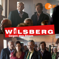 Wilsberg - Gegen den Strom - Wilsberg - Gegen den Strom artwork