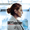 Grey's Anatomy - Grey's Anatomy, Season 17  artwork