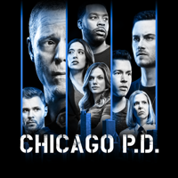 Chicago PD - Chicago PD, Staffel 6 artwork
