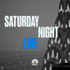Saturday Night Live - Dan Levy - February 6, 2021  artwork
