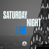 Saturday Night Live - Elon Musk - May 8, 2021  artwork