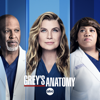 Grey's Anatomy - Grey's Anatomy, Season 18  artwork