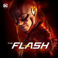 The Flash - The Flash, Season 1-4 artwork
