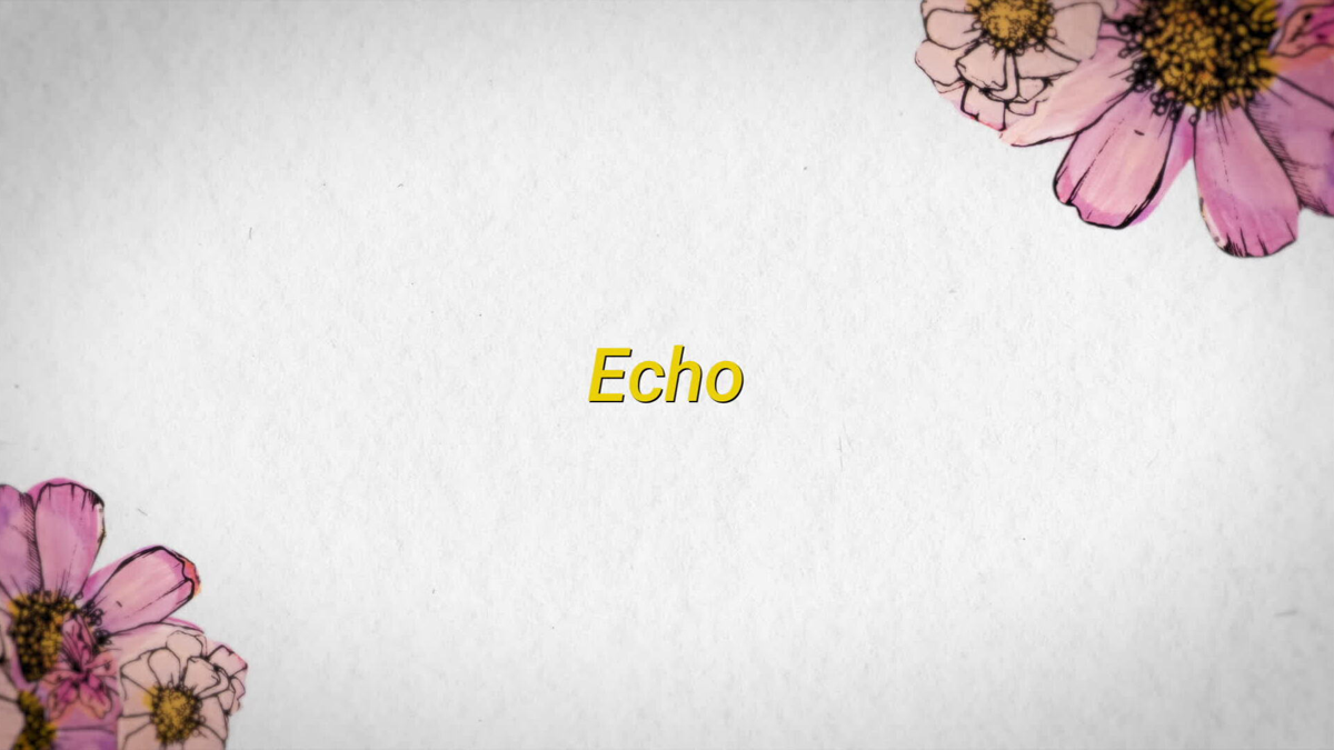 Echo lyrics