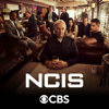 NCIS - NCIS, Season 19  artwork