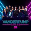 Vanderpump Rules - It's a Mad, Mad Pool Party  artwork