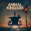 Animal Kingdom - Animal Kingdom, Season 5  artwork