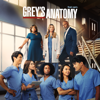 Grey's Anatomy, Staffel 19 - Grey's Anatomy