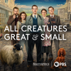 All Creatures Great and Small - All Creatures Great and Small, Season 2  artwork