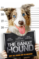 Michelle Danner - The Bandit Hound artwork