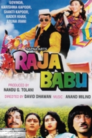 David Dhawan - Raja Babu artwork