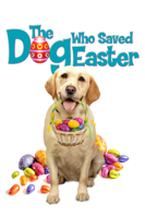 Sean Olson - The Dog Who Saved Easter artwork