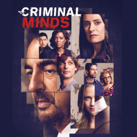 Criminal Minds - Ashley artwork
