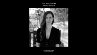 Joy Williams - Canary (Audio) artwork