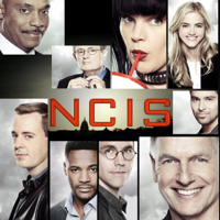 NCIS - NCIS, Staffel 15 artwork