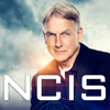 NCIS - . . . and Executioner  artwork