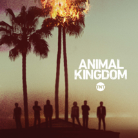 Animal Kingdom - Animal Kingdom, Staffel 1 artwork