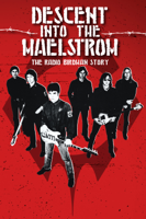 Jonathan J. Sequeira - Descent into the Maelstrom - The Radio Birdman Story artwork