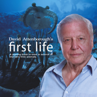 David Attenborough's First Life - David Attenborough's First Life artwork