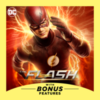 The Flash - The Fury of Firestorm artwork