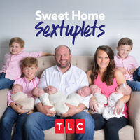 Sweet Home Sextuplets - What to Expect When You're Expecting Six Babies artwork