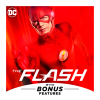 The Flash - The Flash, Season 3 artwork