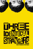 Tim Wardle - Three Identical Strangers artwork