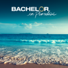 Bachelor in Paradise - 504B  artwork