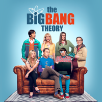 The Big Bang Theory - The Grant Allocation Derivation artwork