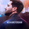 New Amsterdam - Give Me a Sign artwork