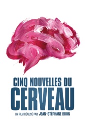 Cinq nouvelles du cerveau