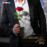 Der Bachelor, 2016 - Bachelor, Der - Das große Finale artwork