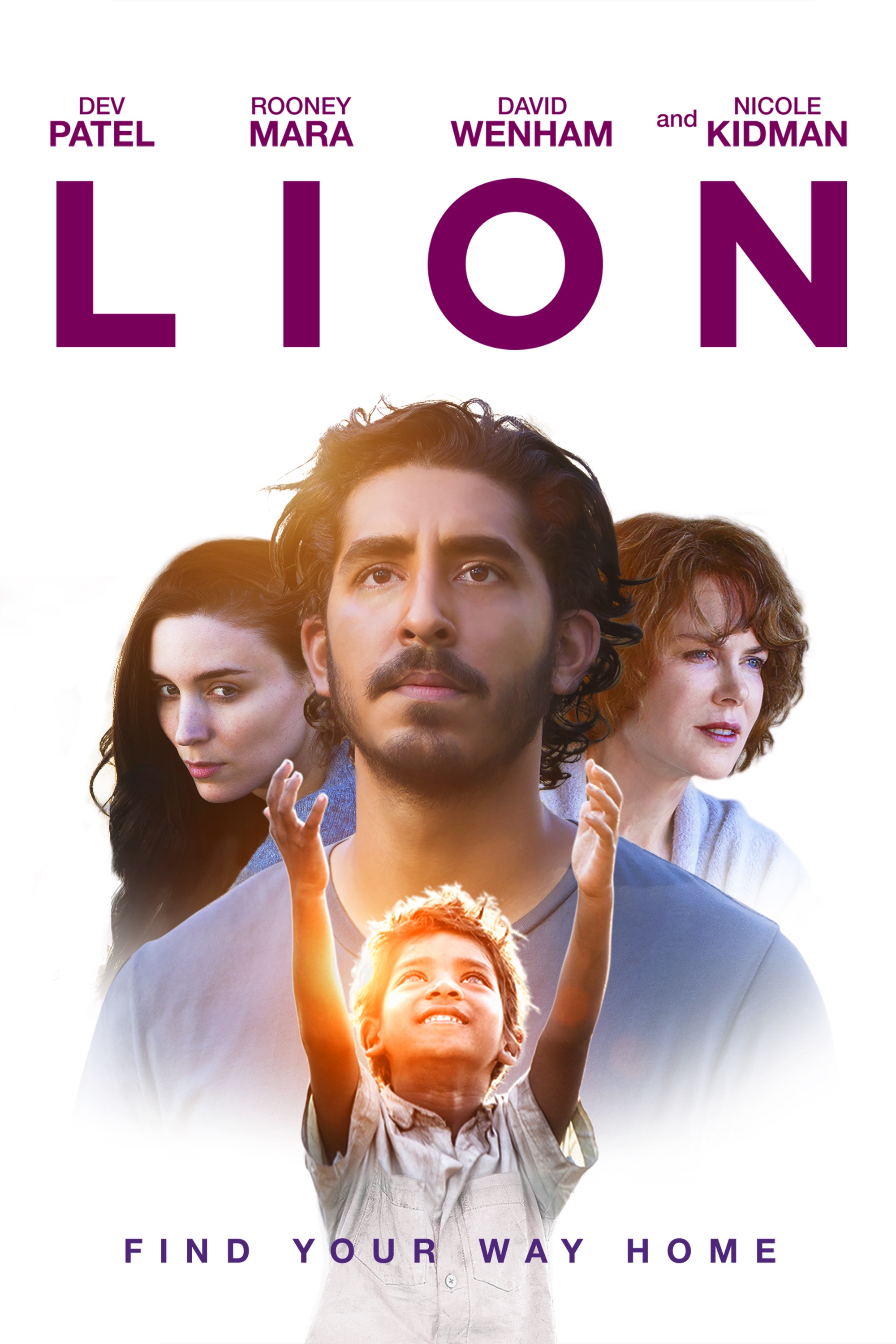 Lion Poster
