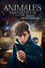 Fantastic Beasts and Where to Find Them - David Yates