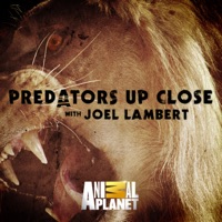 Télécharger Predators Up Close with Joel Lambert, Season 1 Episode 2