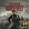 Theodore Roosevelt - Theodore Roosevelt  artwork