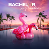 Bachelor in Paradise - 803  artwork