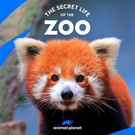 The Secret Life Of The Zoo Season 4 On Itunes
