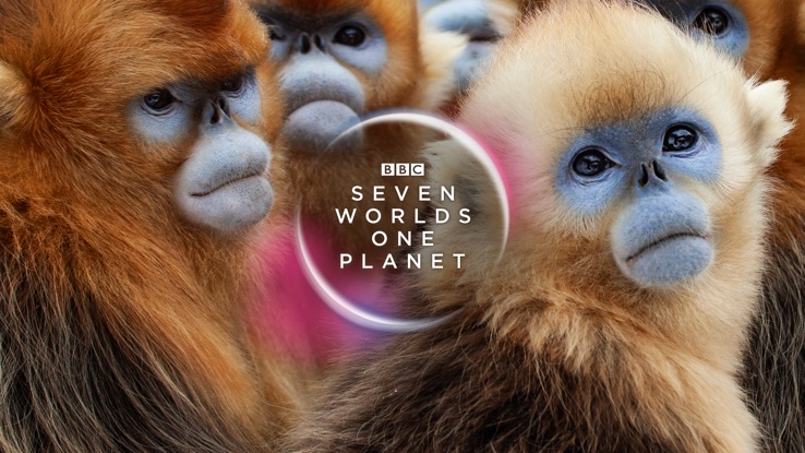 Seven Worlds, One Planet